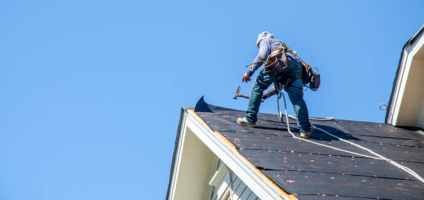 Best Gutter Installation and Roofing  in Plainview, NY